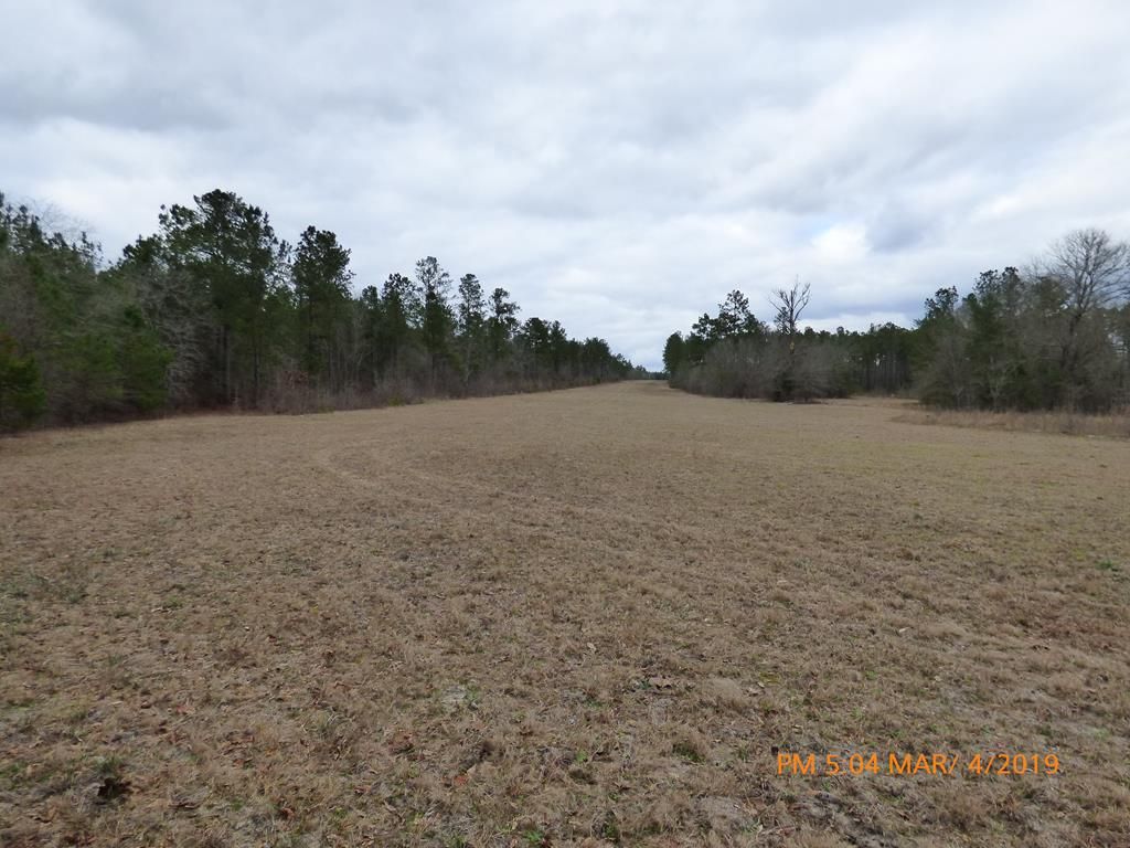 Ridge Spring, Aiken County, SC for sale Property ID 334205675 LandWatch