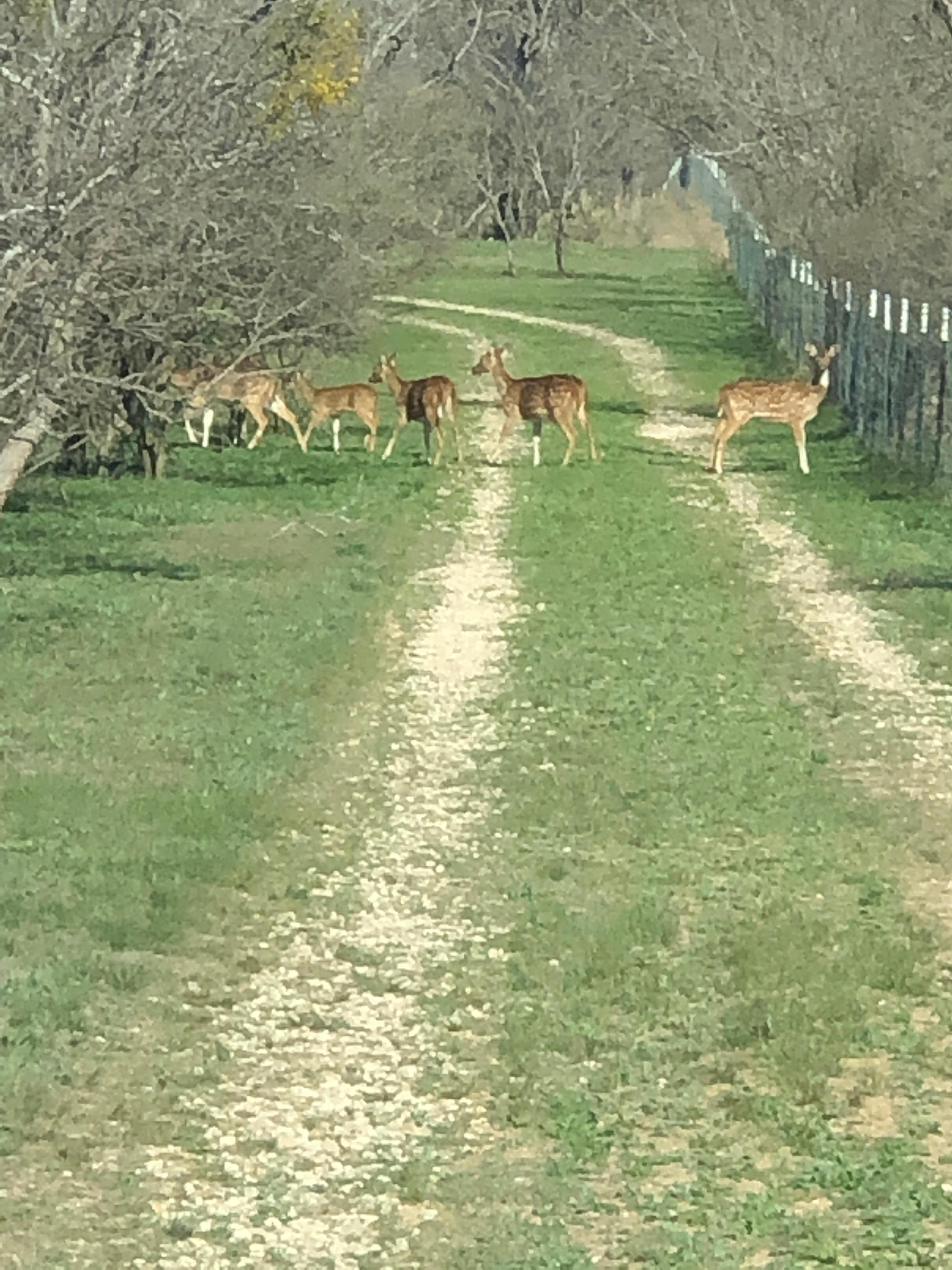 Uvalde, Uvalde County, TX Recreational Property, Riverfront Property