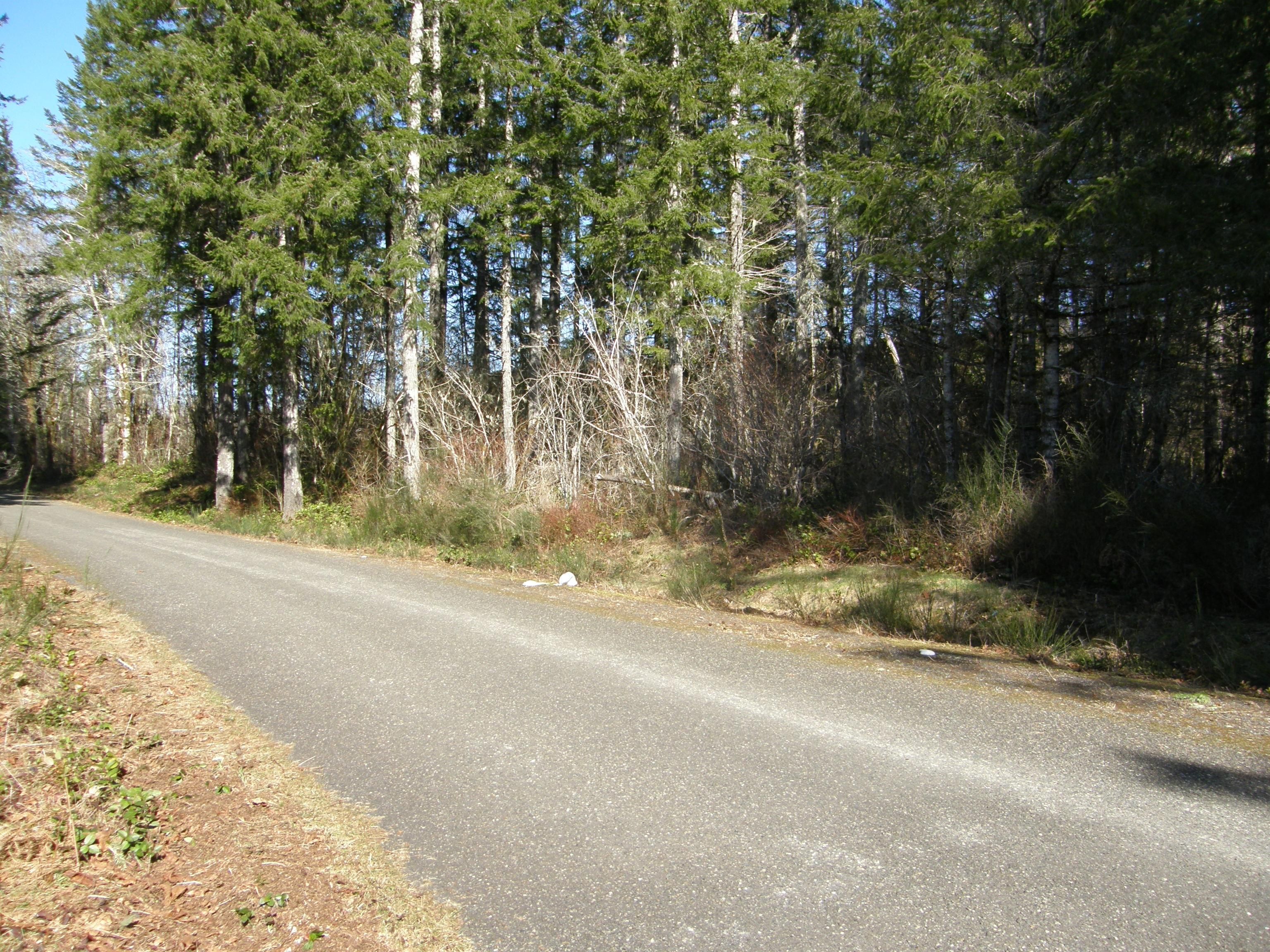 Elma, Mason County, WA Timberland Property, Undeveloped Land for sale