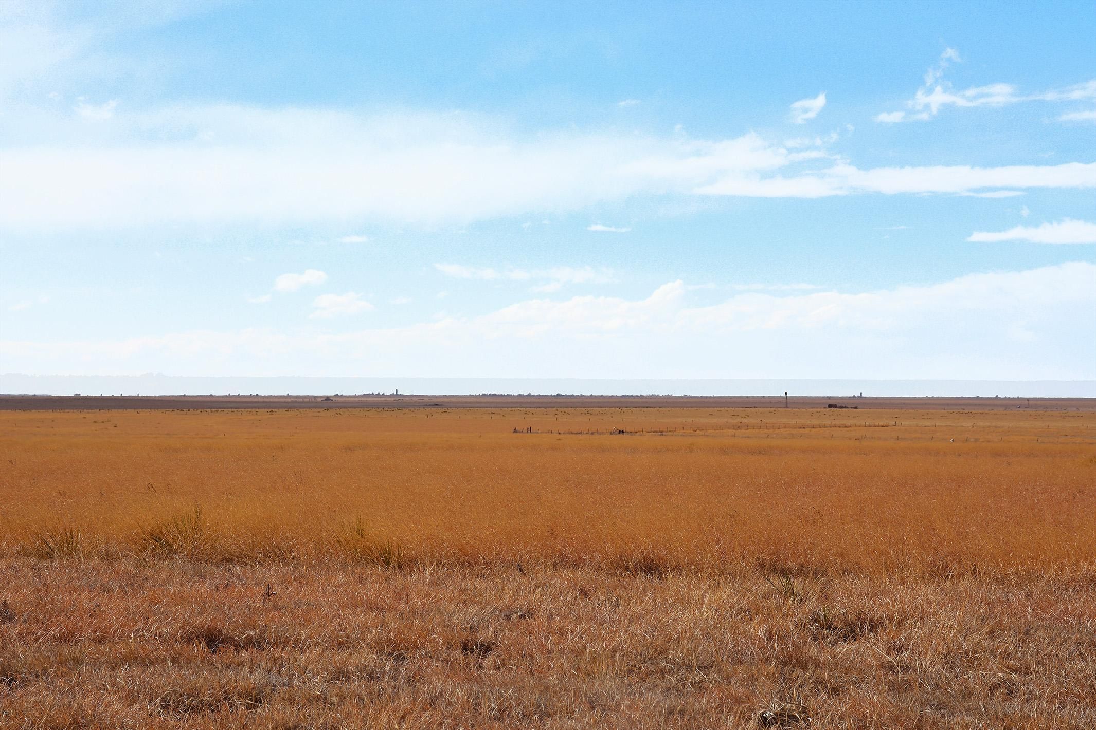 Friona, Parmer County, TX Farms and Ranches, Recreational Property for