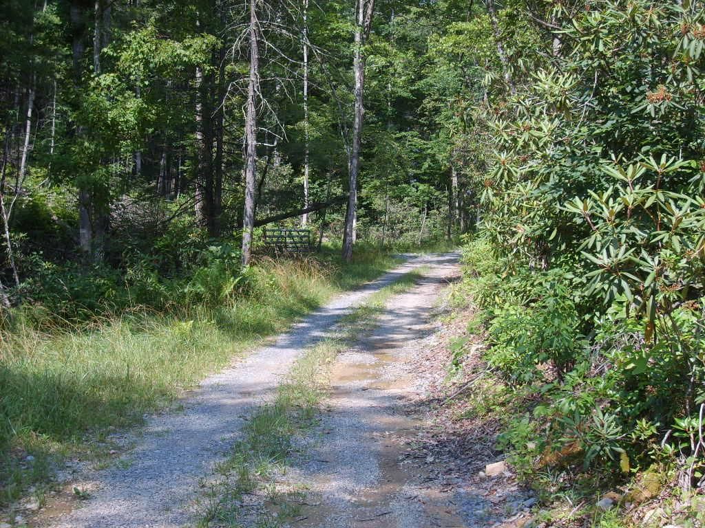 Lewisburg, Greenbrier County, WV Undeveloped Land for sale Property ID
