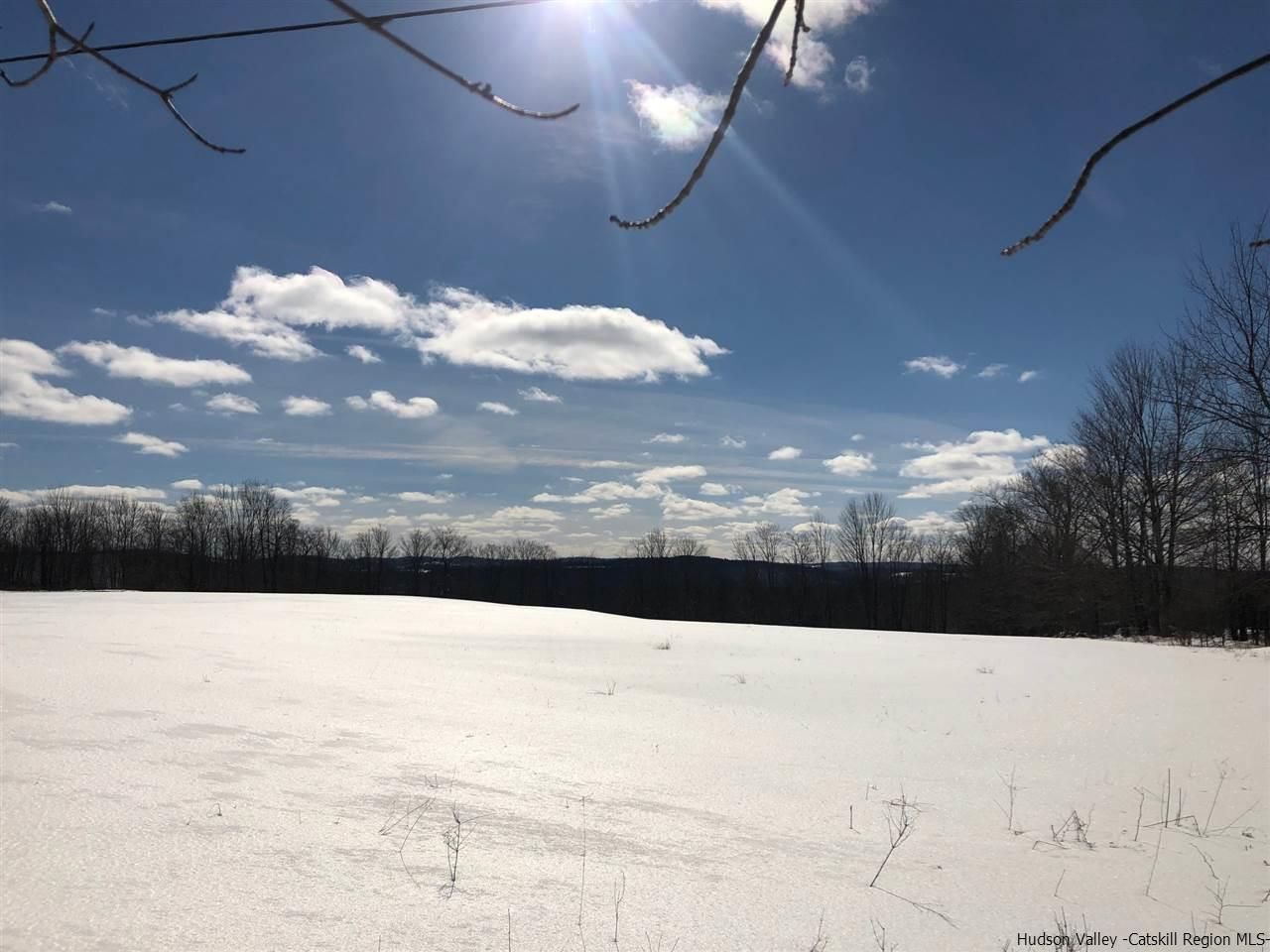 Meredith, Delaware County, NY Undeveloped Land for sale Property ID