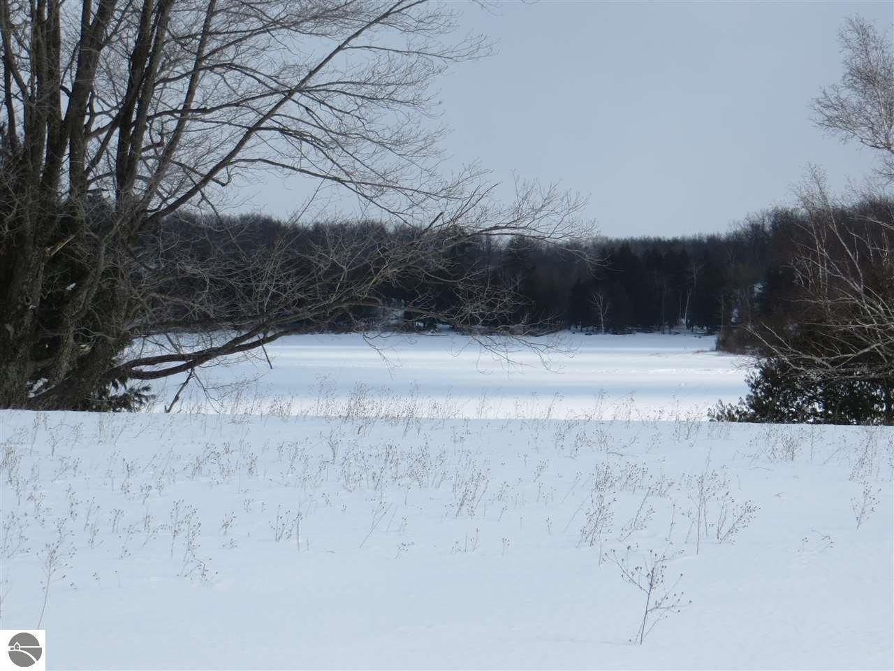 West Branch, Ogemaw County, MI Undeveloped Land, Lakefront Property