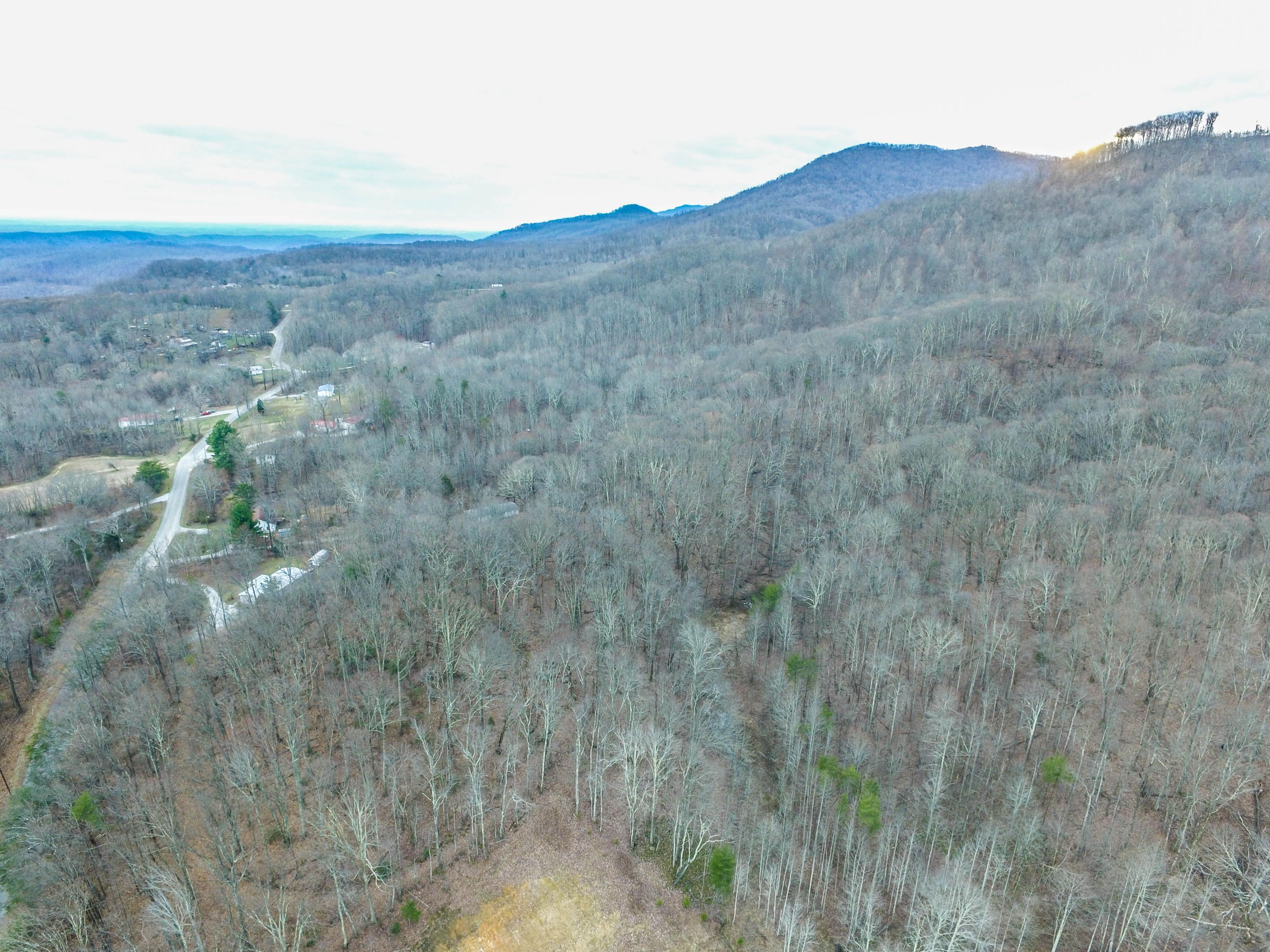 Briceville, Anderson County, TN Undeveloped Land for sale Property ID
