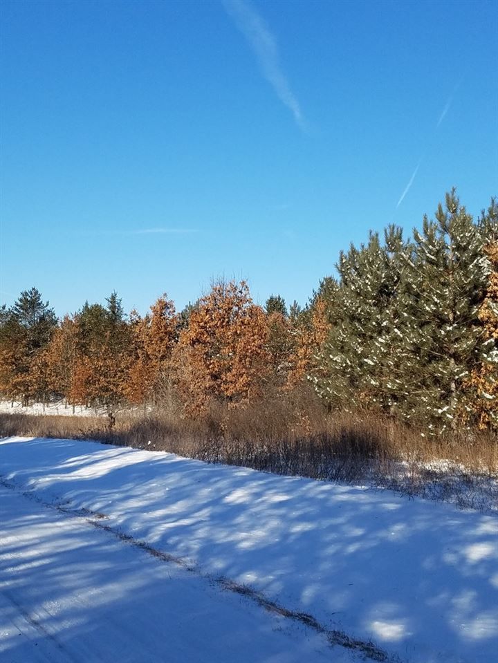 Friendship, Adams County, WI Undeveloped Land for sale Property ID