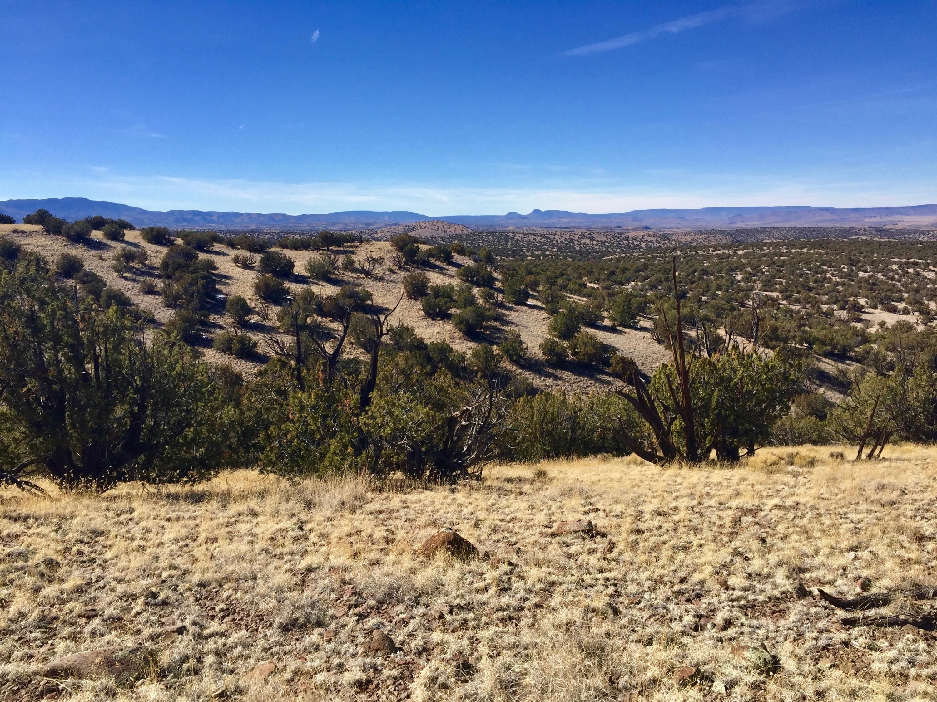 Magdalena, Socorro County, NM Undeveloped Land for sale Property ID