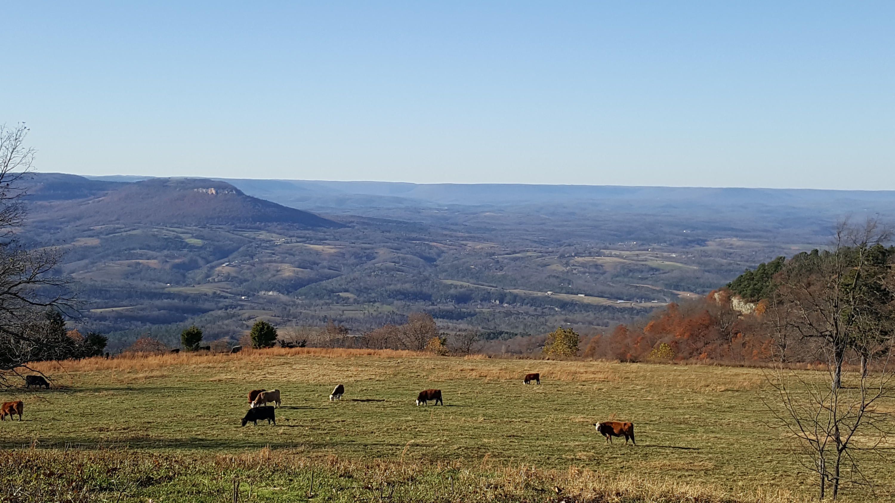 Mount Judea, Newton County, AR Undeveloped Land for sale Property ID