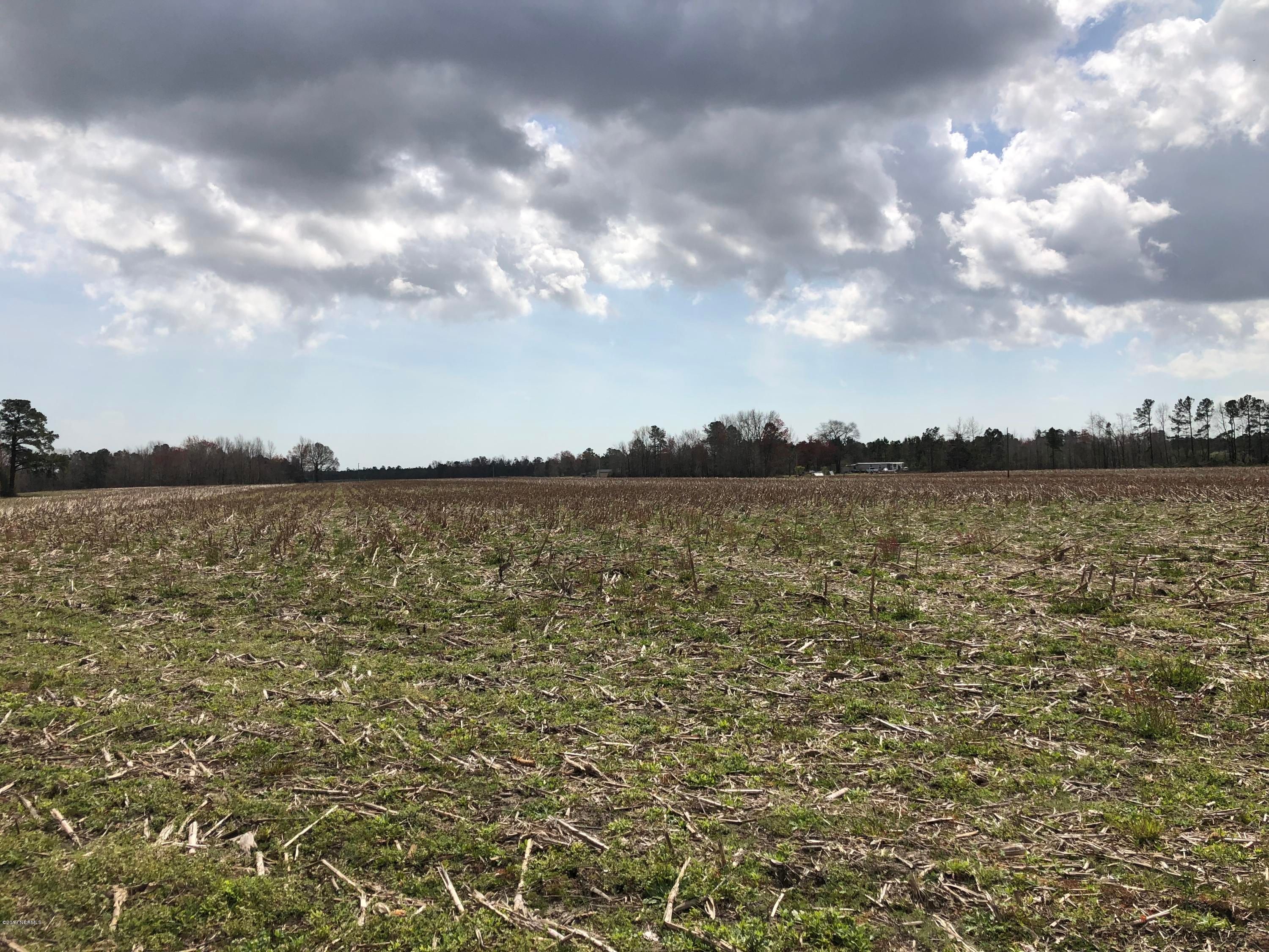 Nakina, Columbus County, NC Undeveloped Land for sale Property ID