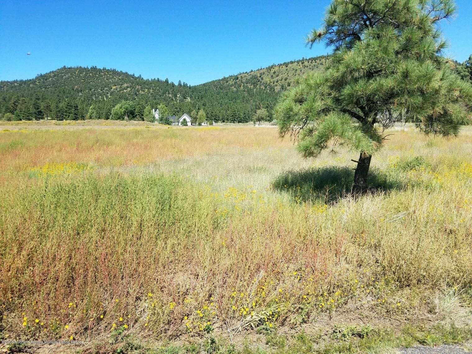 Flagstaff, Coconino County, AZ Undeveloped Land, Homesites for sale Property ID 334285169