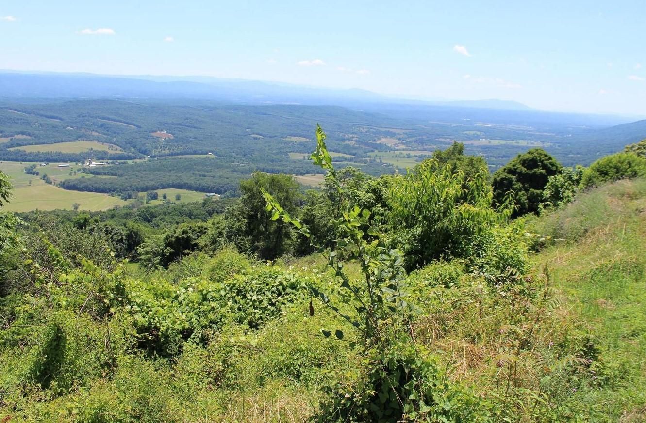 Short Gap, Mineral County, WV Recreational Property, Homesites for sale Property ID 336545974