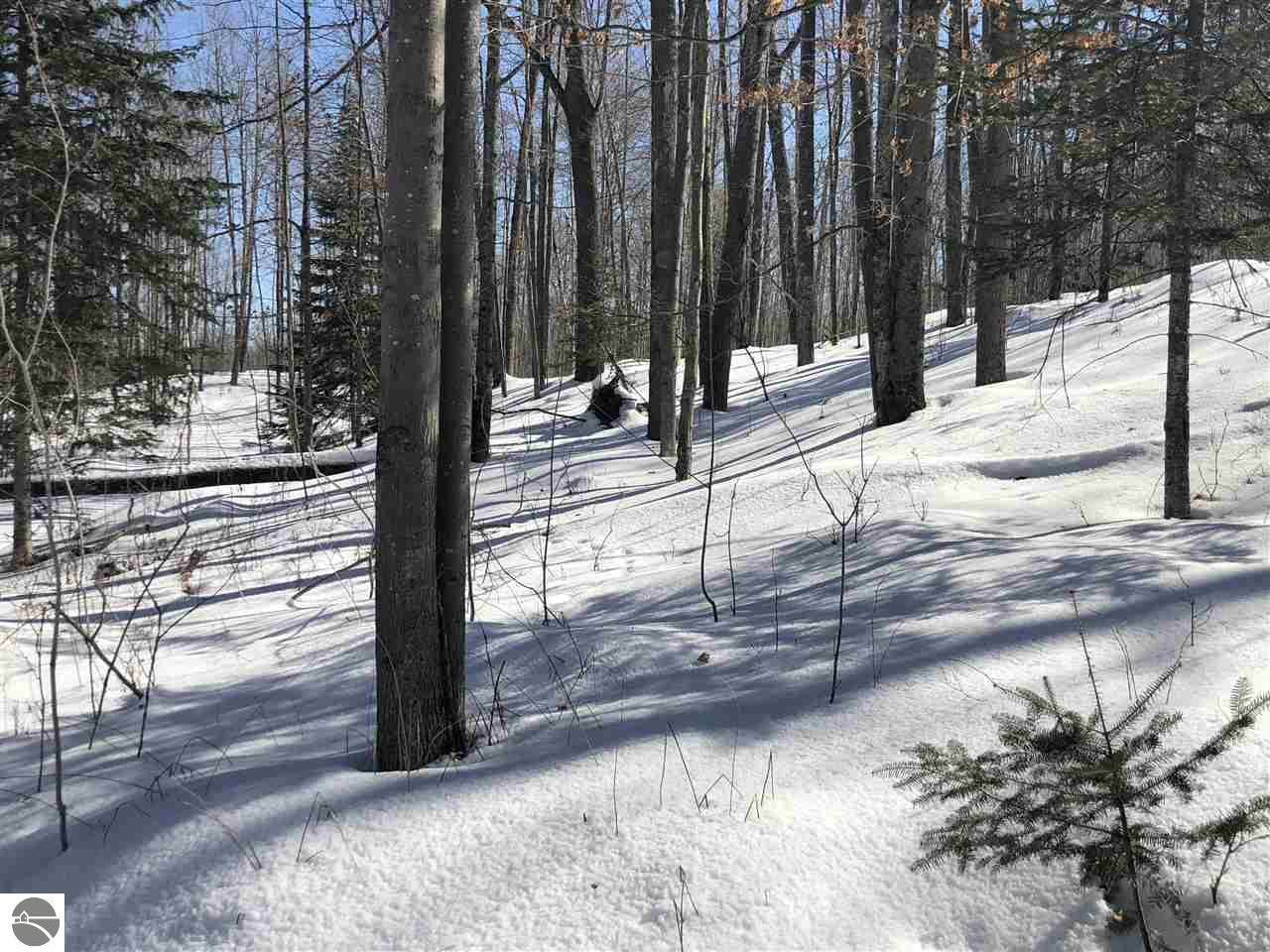 Rose City, Ogemaw County, MI Undeveloped Land for sale Property ID