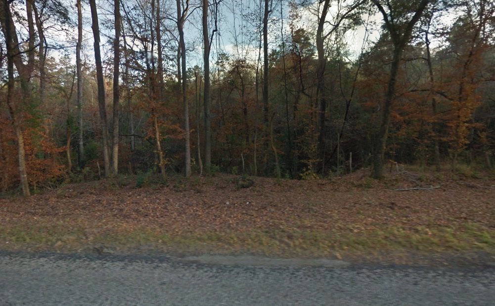 Frankston, Anderson County, TX Undeveloped Land, Hunting Property