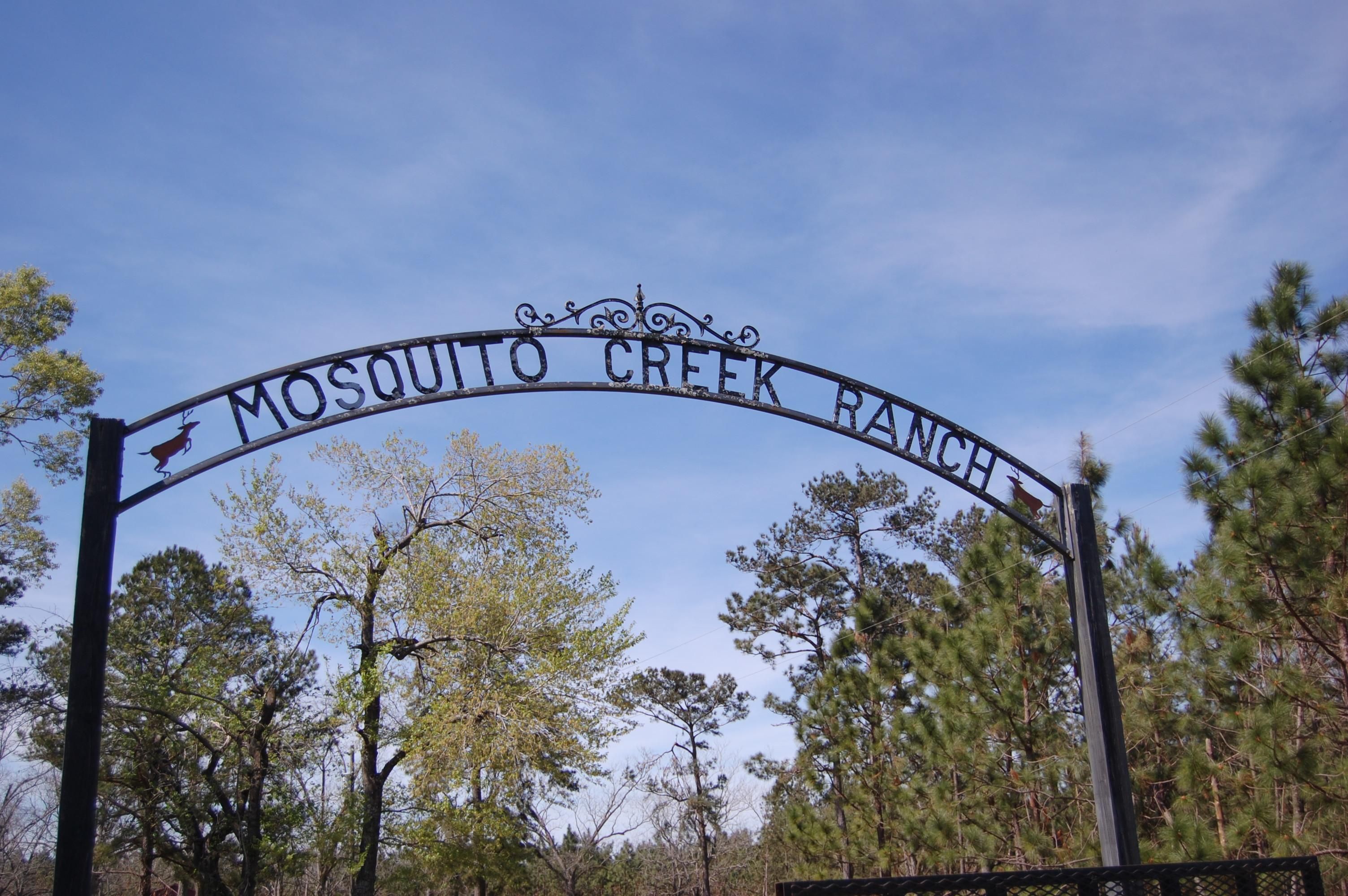 Mount Pleasant, Gadsden County, FL Recreational Property, Timberland
