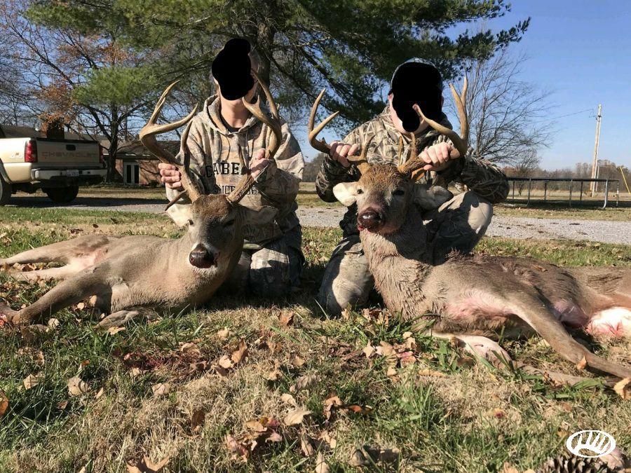 Puryear, Henry County, TN Recreational Property, Timberland Property