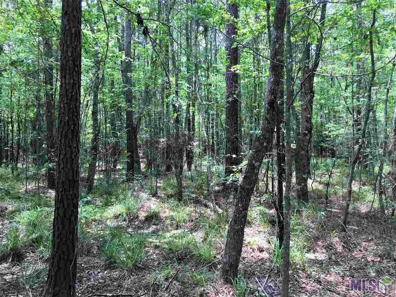 Greensburg, Saint Helena Parish, LA Undeveloped Land for sale Property