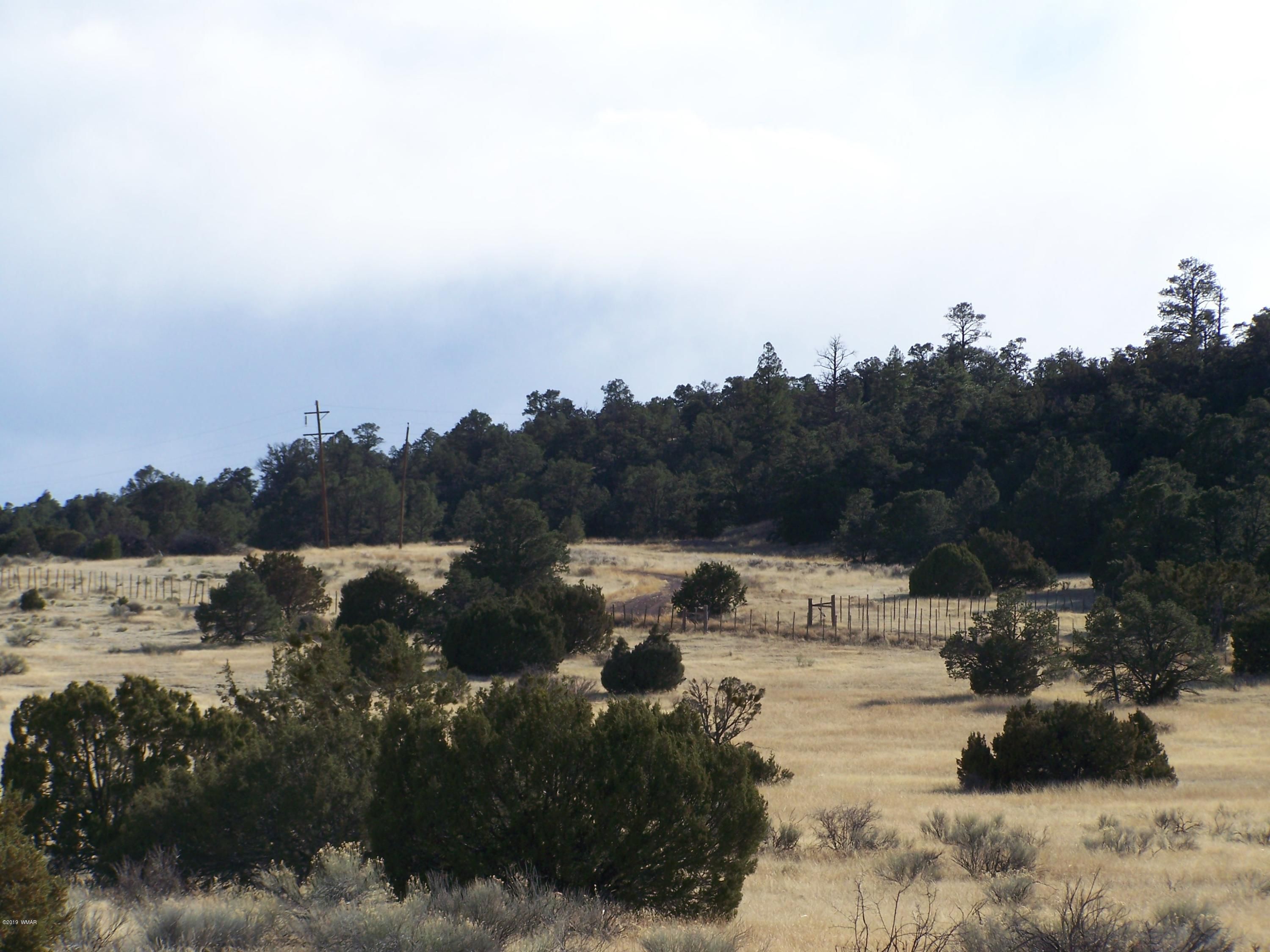 Nutrioso, Apache County, AZ Undeveloped Land for sale Property ID