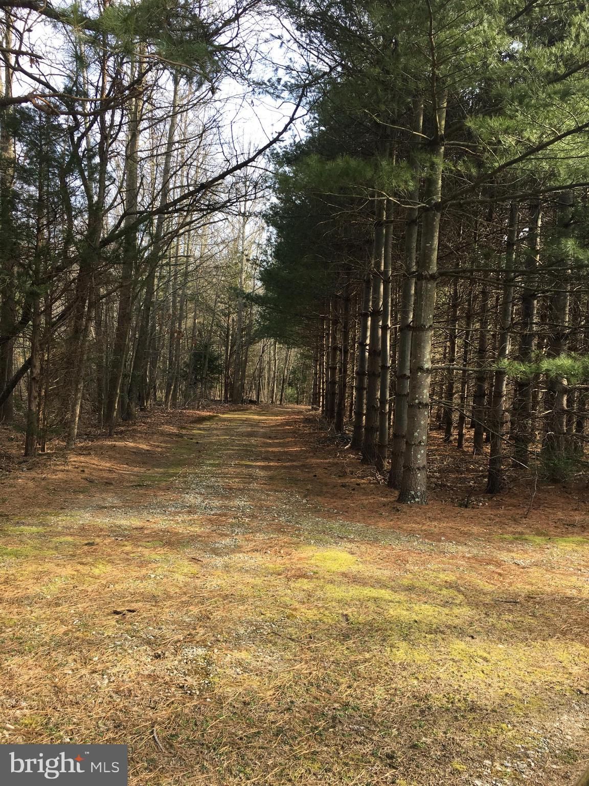 Pittsgrove, Salem County, NJ Undeveloped Land, Homesites for sale