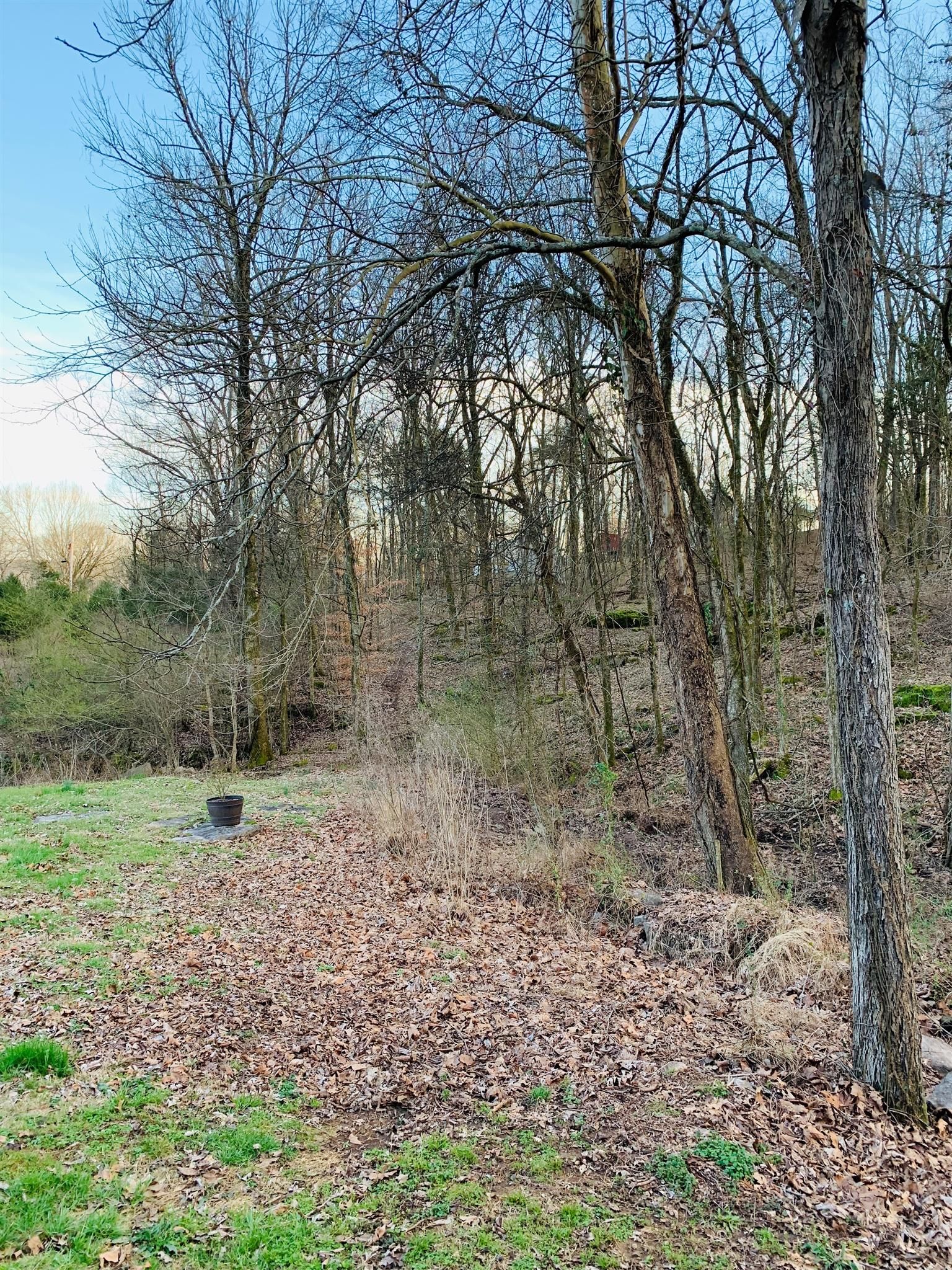 Brush Creek, Smith County, TN House for sale Property ID 334337059