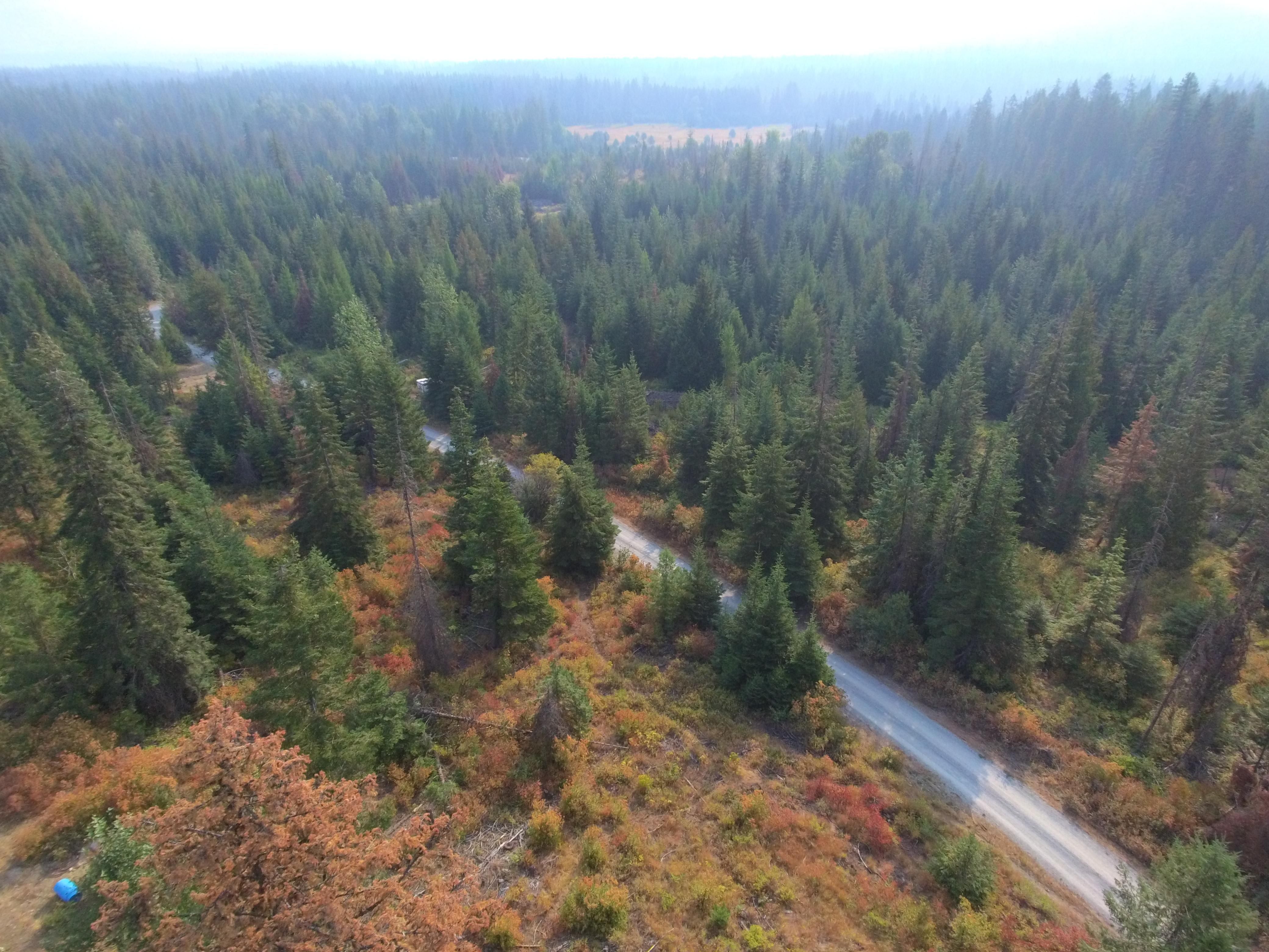 Canteen Creek Road, Inchelium, WA 99138 LandWatch