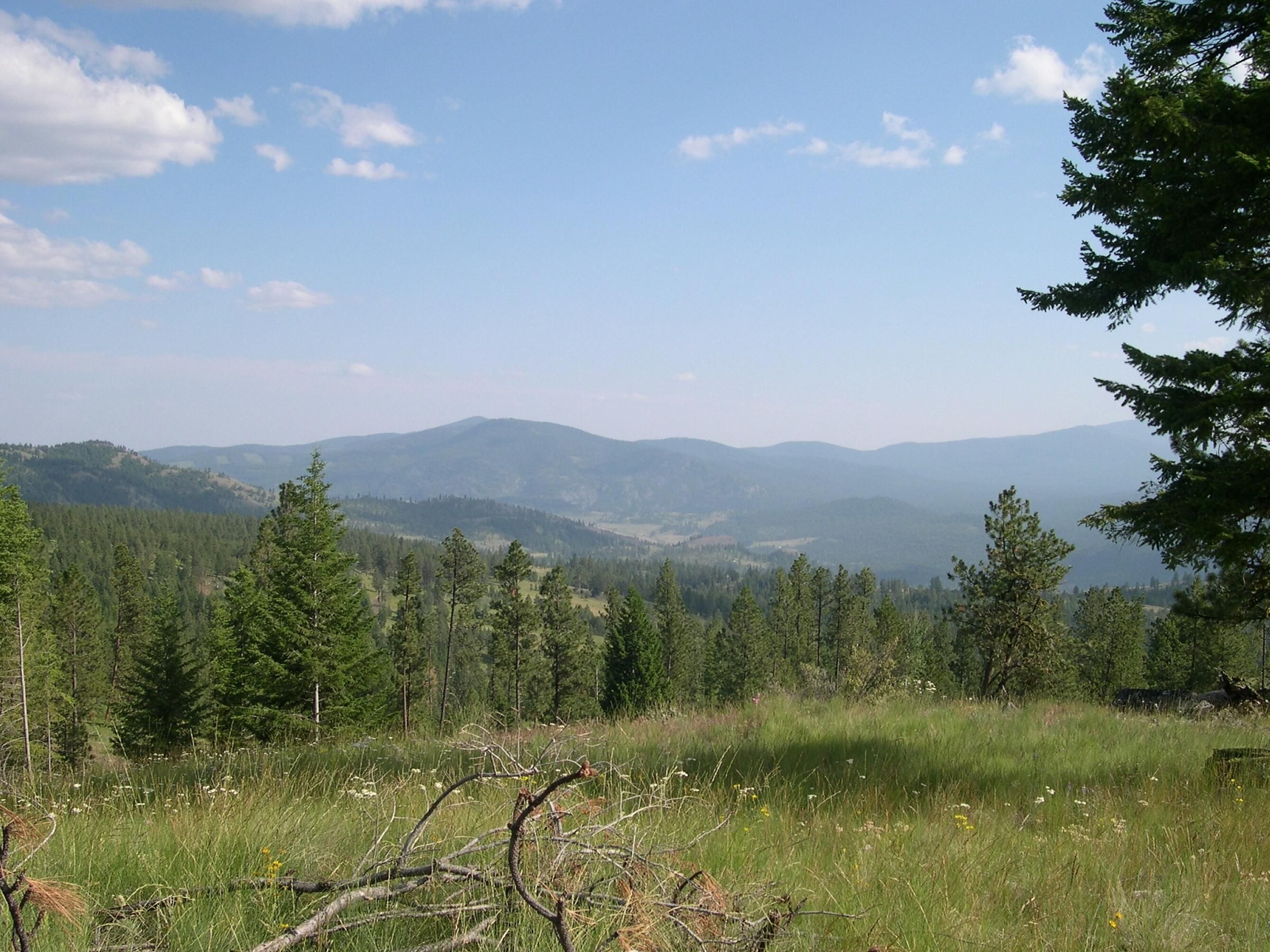Chesaw, Okanogan County, WA Recreational Property, Undeveloped Land