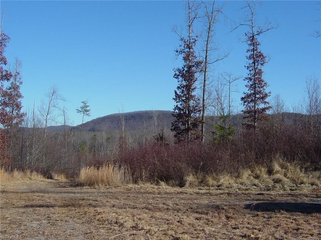 Boomer, Wilkes County, NC Undeveloped Land for sale Property ID