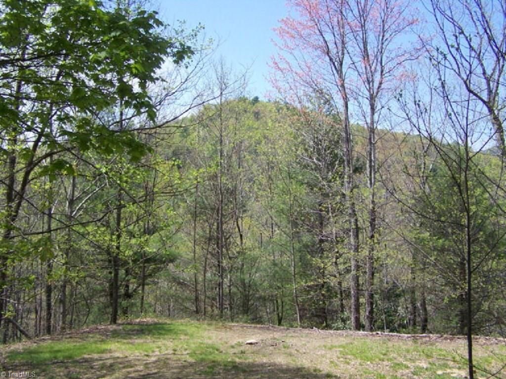 Purlear, Wilkes County, NC Undeveloped Land for sale Property ID