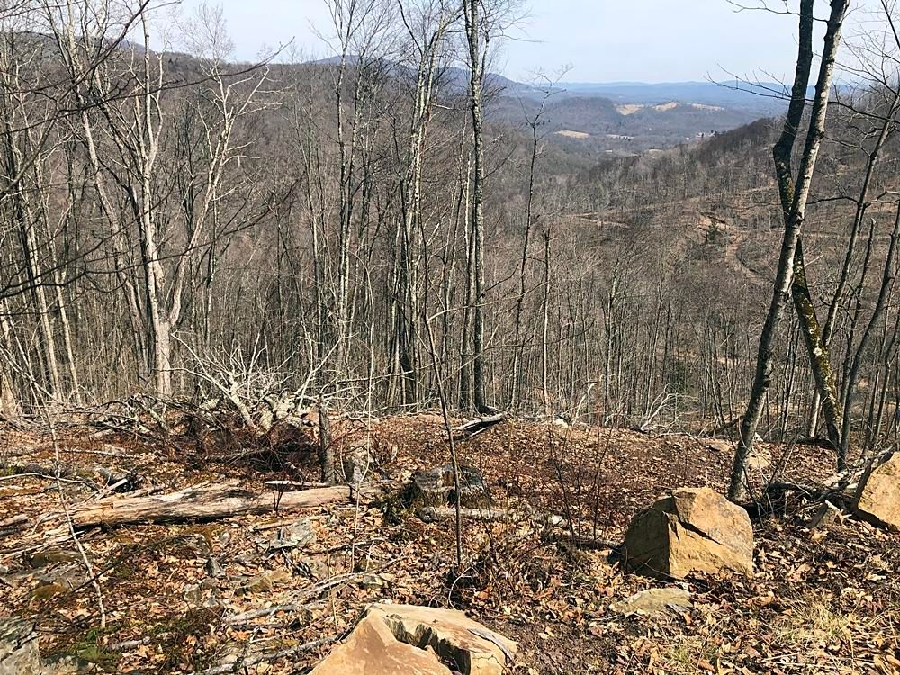 Edray, Pocahontas County, WV Undeveloped Land for sale Property ID 334363764 LandWatch