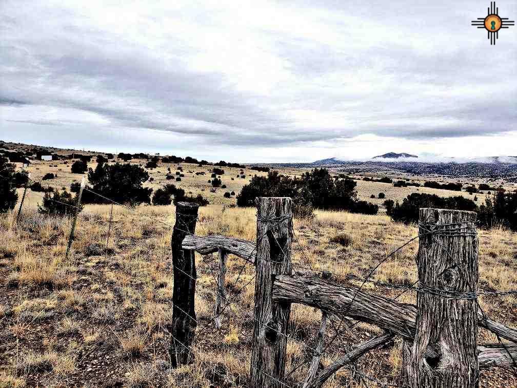 Winston, Sierra County, NM Undeveloped Land for sale Property ID