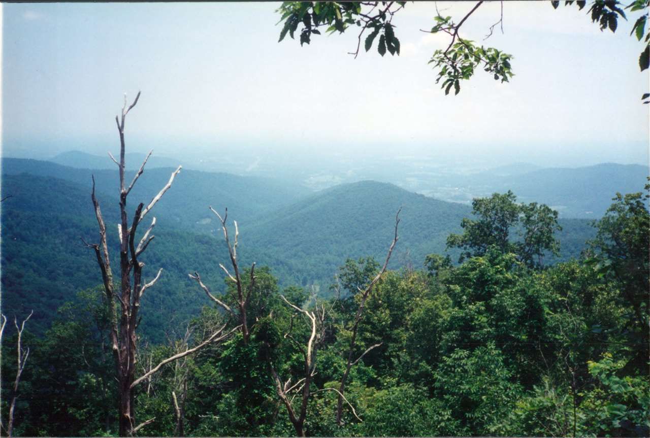 Stanardsville, Greene County, VA Undeveloped Land for sale Property ID