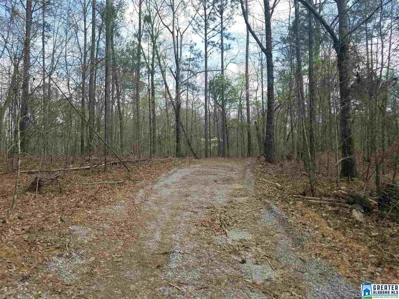 Columbiana, Shelby County, AL Undeveloped Land for sale Property ID