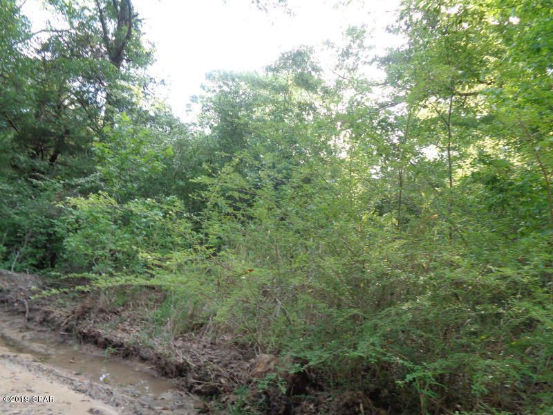 Graceville, Holmes County, FL Undeveloped Land for sale Property ID