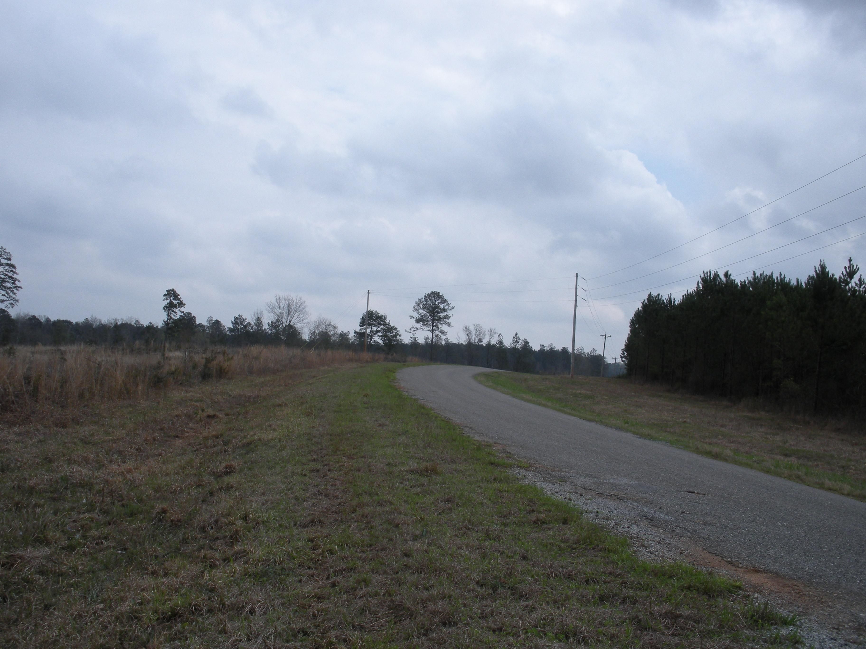 Greenville, Butler County, AL Recreational Property, Undeveloped Land