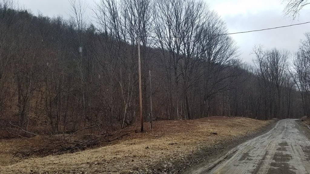 Sayre, Bradford County, PA Undeveloped Land for sale Property ID