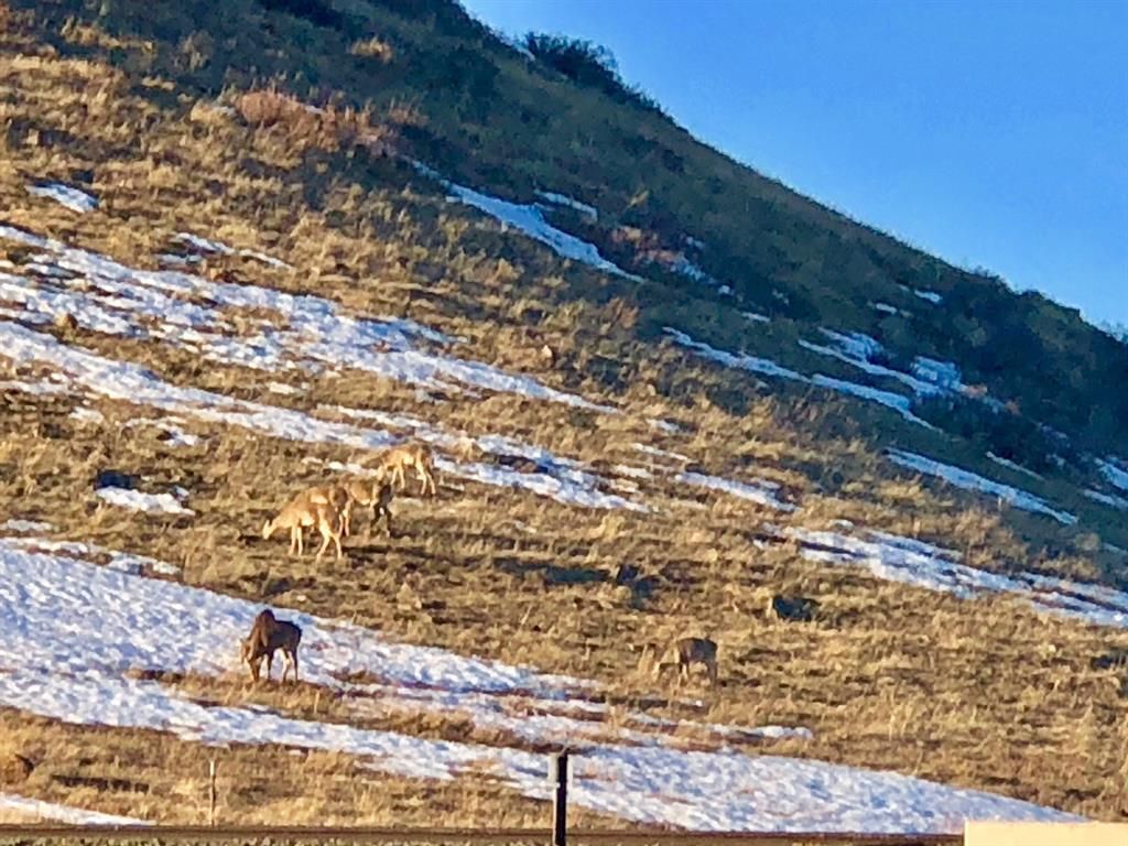 Raynesford, Judith Basin County, MT Undeveloped Land, Homesites for