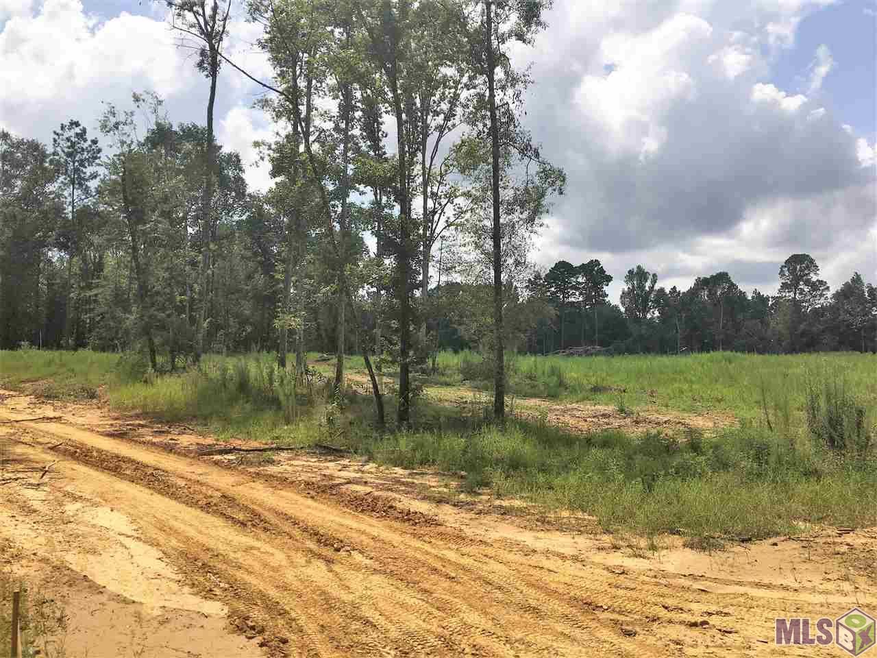 Clinton, East Feliciana Parish, LA Undeveloped Land, Homesites for sale