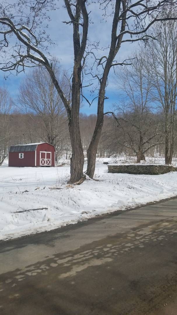 Downsville, Delaware County, NY Undeveloped Land, Homesites for sale