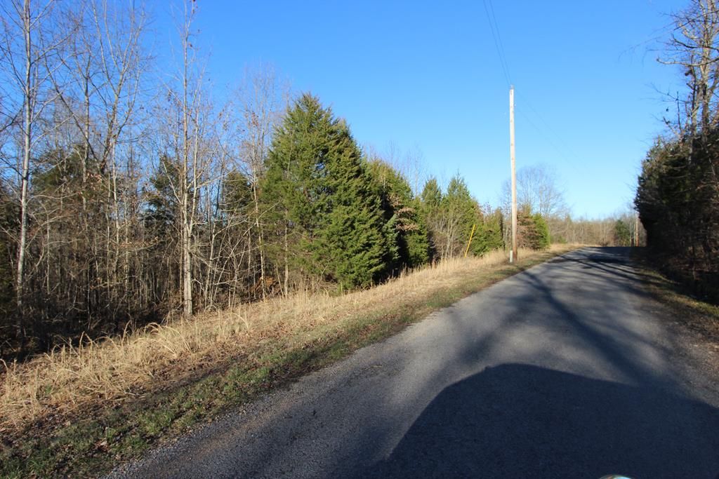 Big Rock, Stewart County, TN Undeveloped Land for sale Property ID