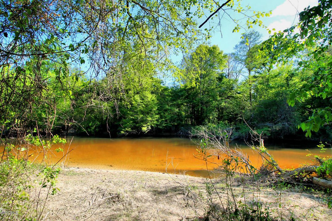 Perkinston, County, MS Undeveloped Land for sale Property ID