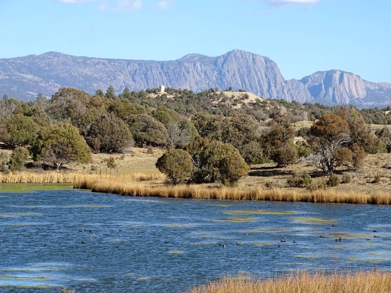 Rutheron, Rio Arriba County, NM Farms and Ranches, Recreational
