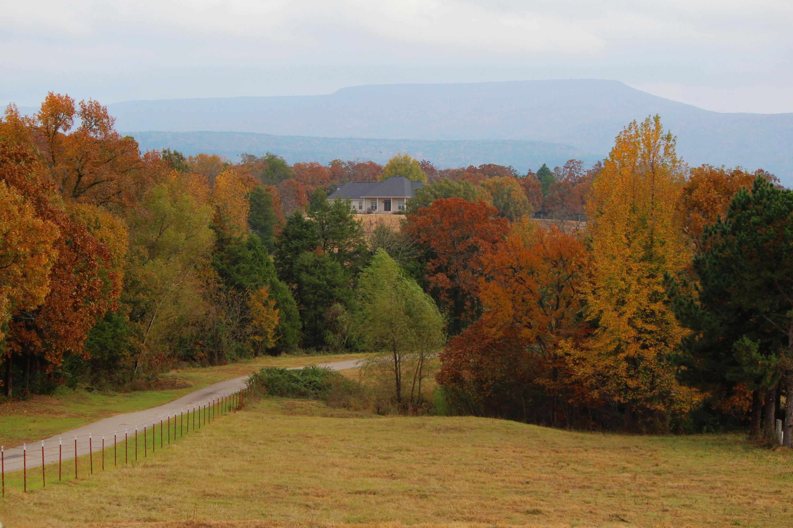 Magazine, Logan County, AR House for sale Property ID 334464814