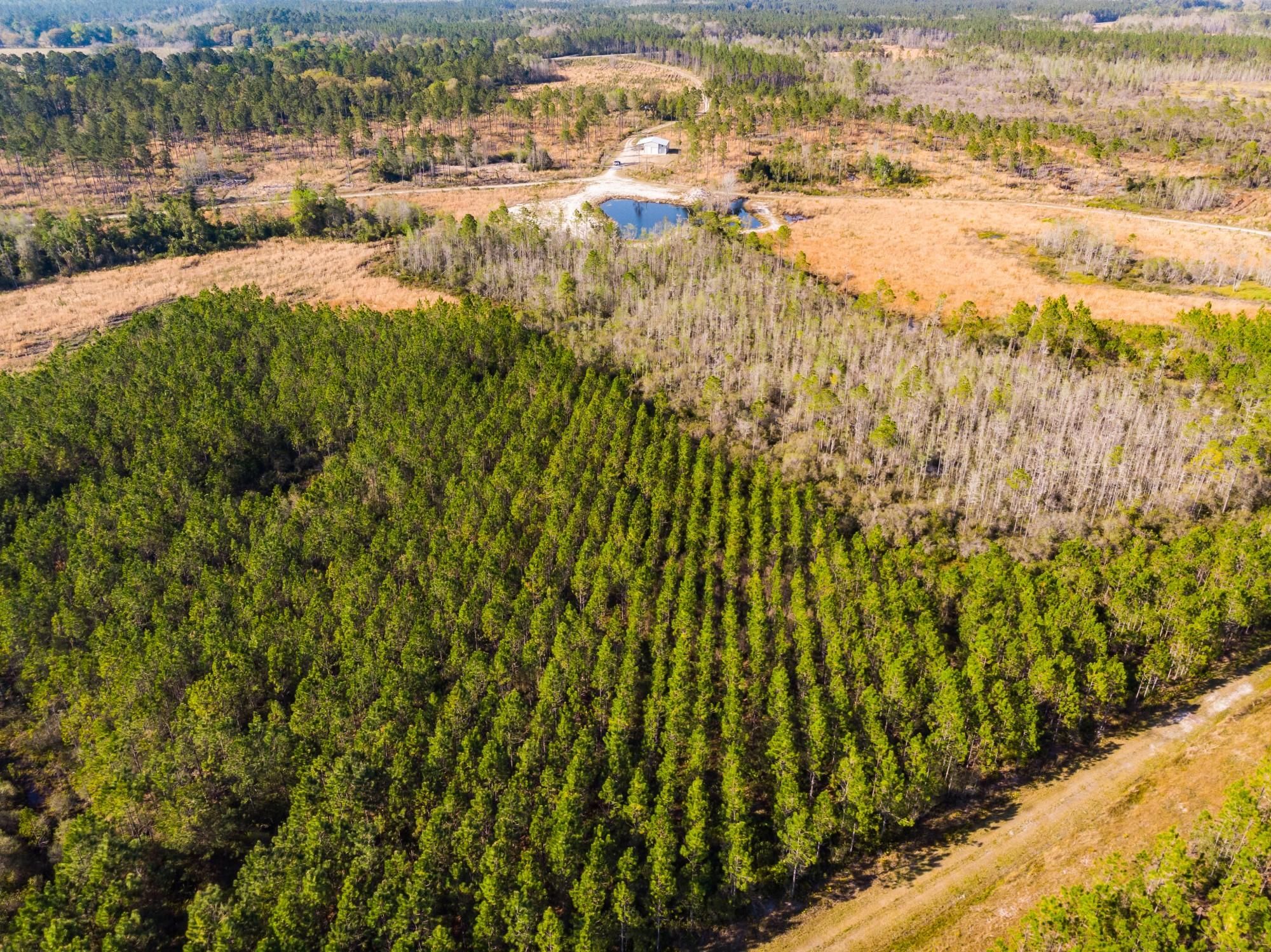 Greenville, Madison County, FL Recreational Property, Timberland Property, Hunting Property for