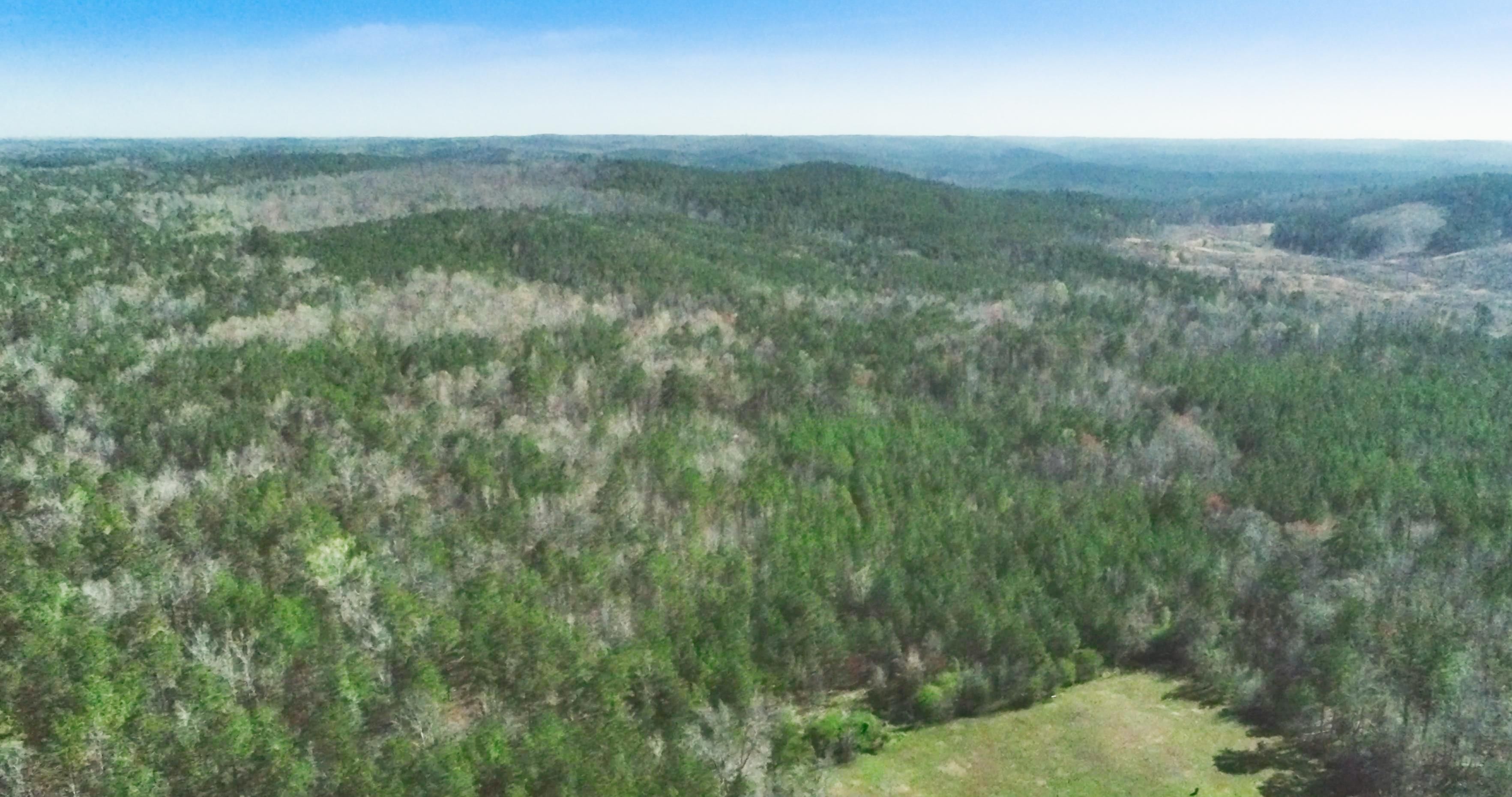 Candor, Montgomery County, NC Recreational Property, Hunting Property