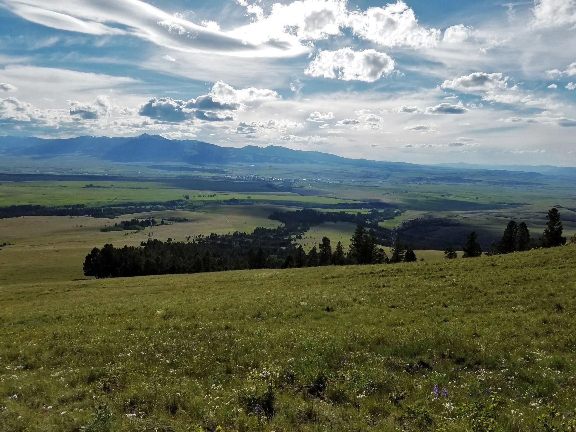 Deer Lodge, Powell County, MT Undeveloped Land for sale Property ID