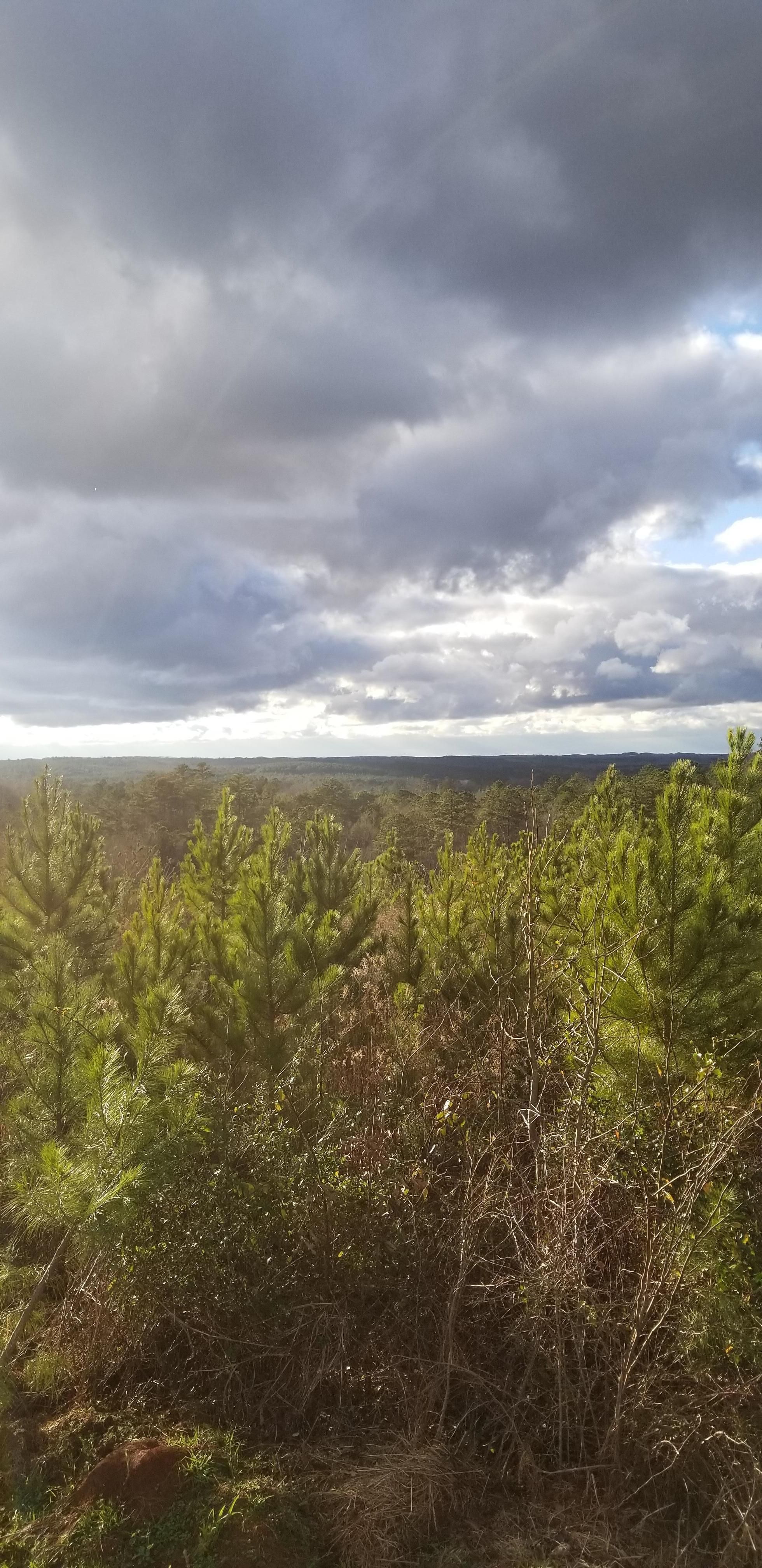 400 acres in Lagrange, GA, 30241 LandWatch