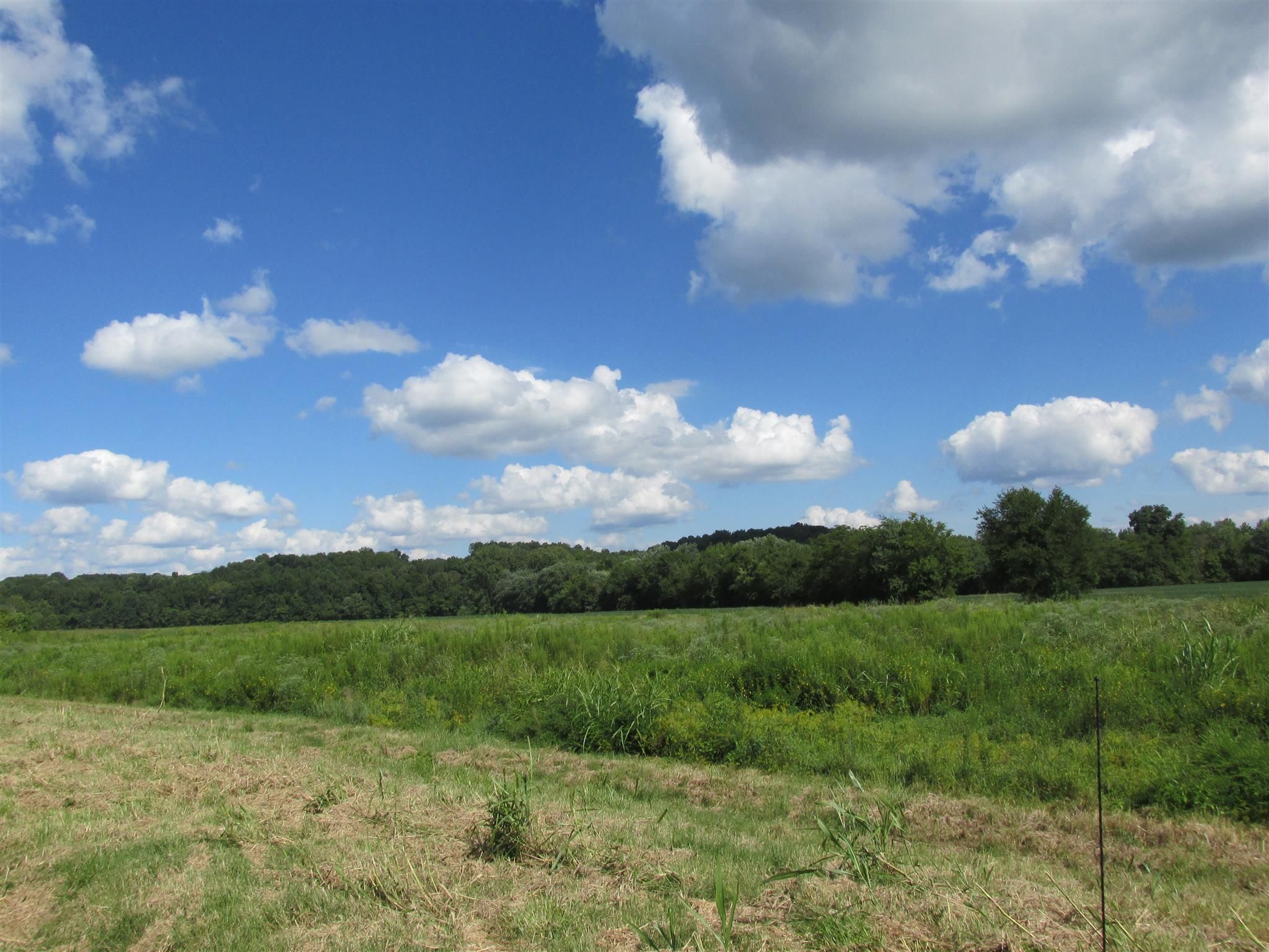 Palmyra, Montgomery County, TN Undeveloped Land for sale Property ID