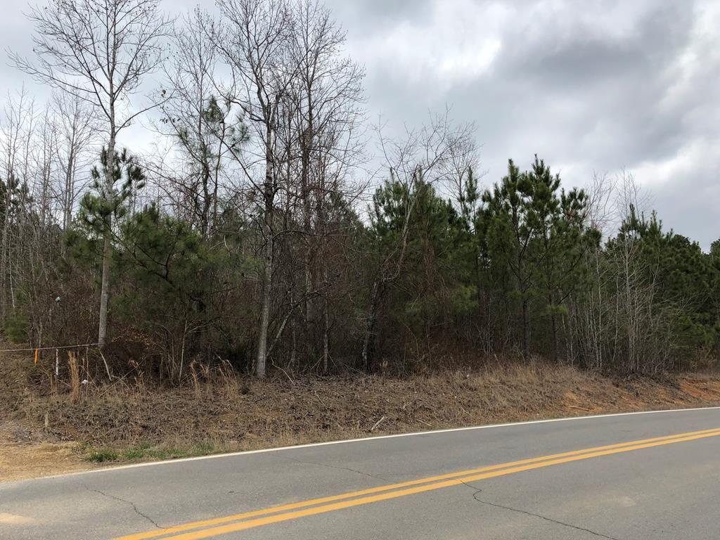 Dalton, Whitfield County, GA Undeveloped Land for sale Property ID