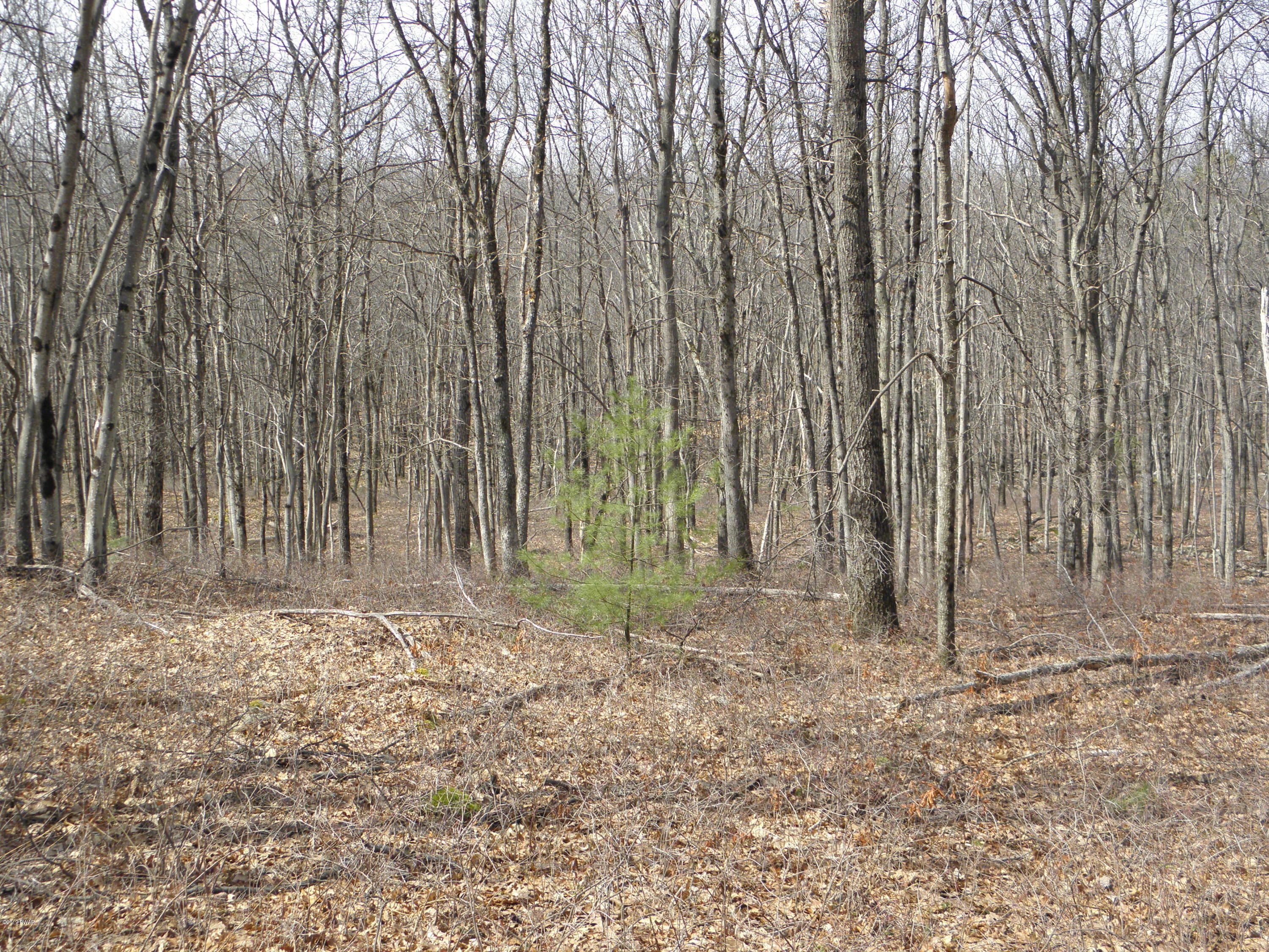 Greeley, Pike County, PA Undeveloped Land for sale Property ID