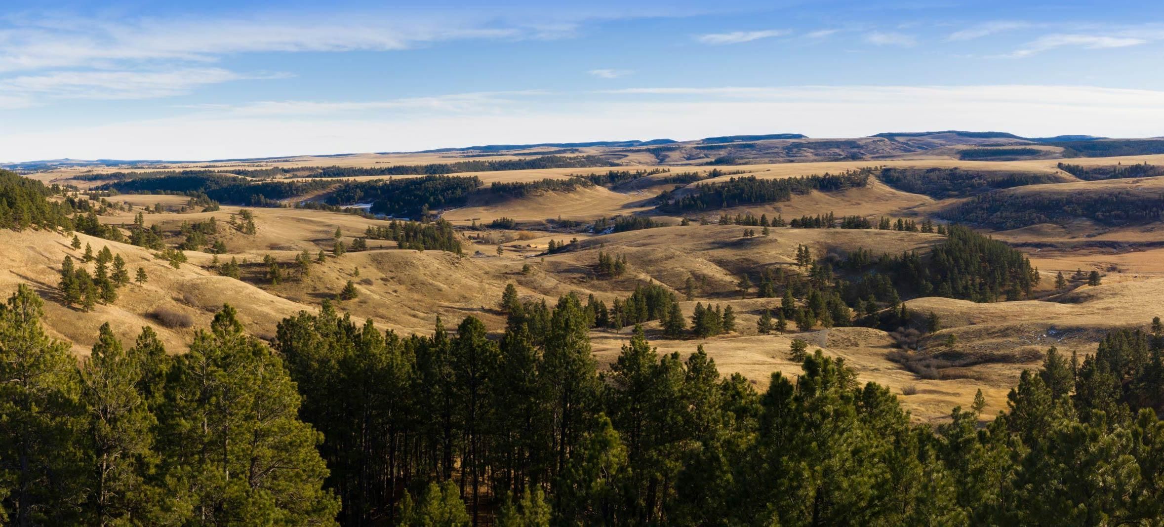Grass Range, Fergus County, MT Recreational Property, Timberland