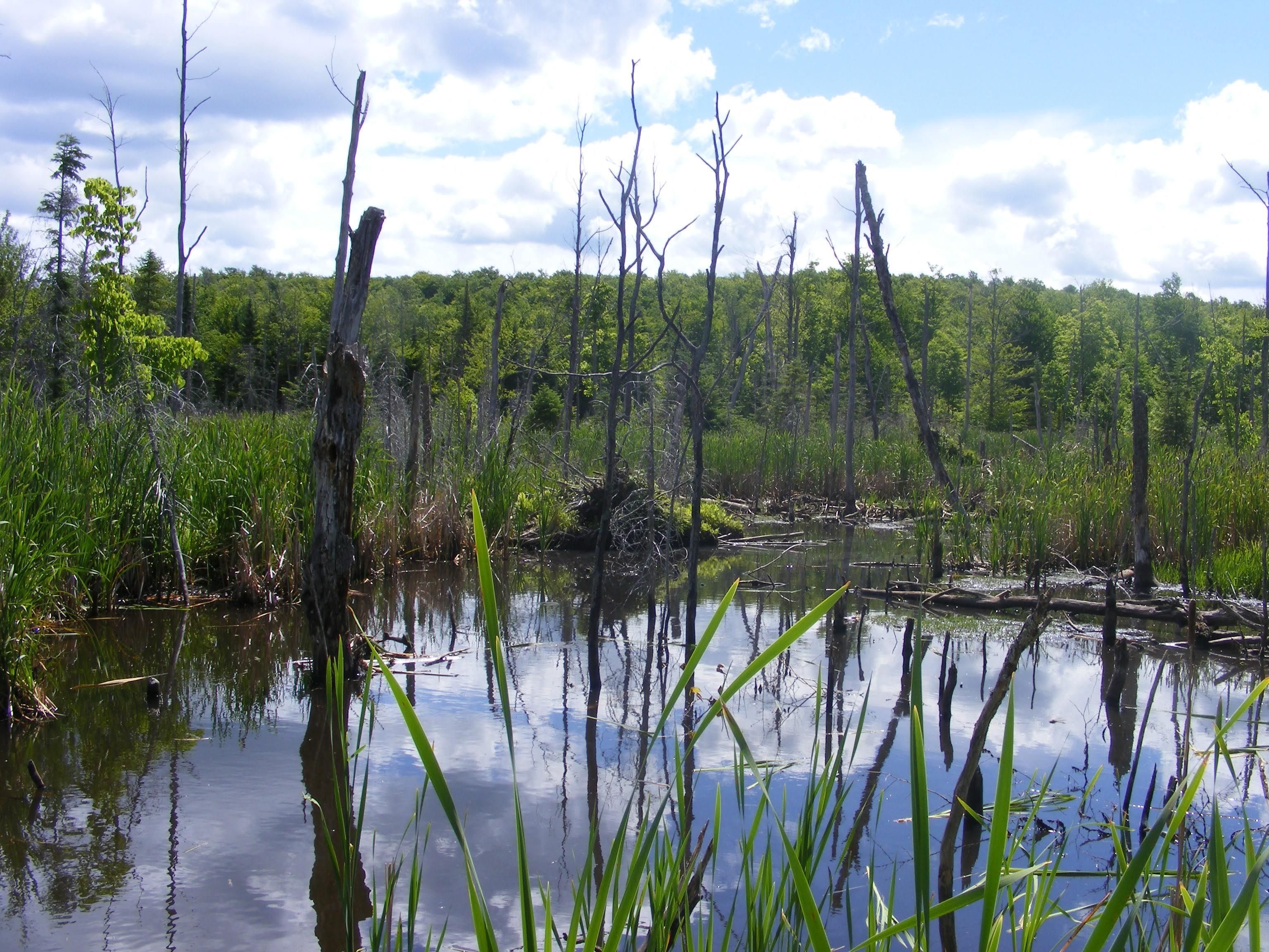 Dannemora, Clinton County, NY Recreational Property, Undeveloped Land
