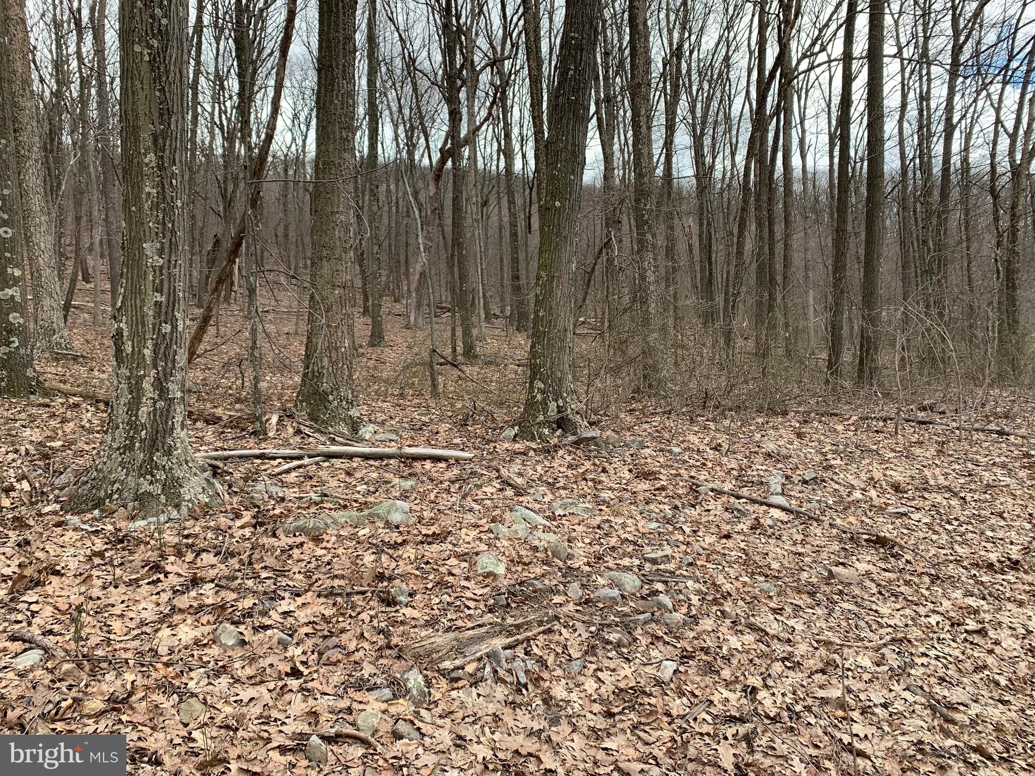 Clearville, Bedford County, PA Undeveloped Land for sale Property ID